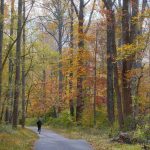 Benefits From Running Regularly: 7 Proven Ways to Avoid Painful Beginner Mistakes