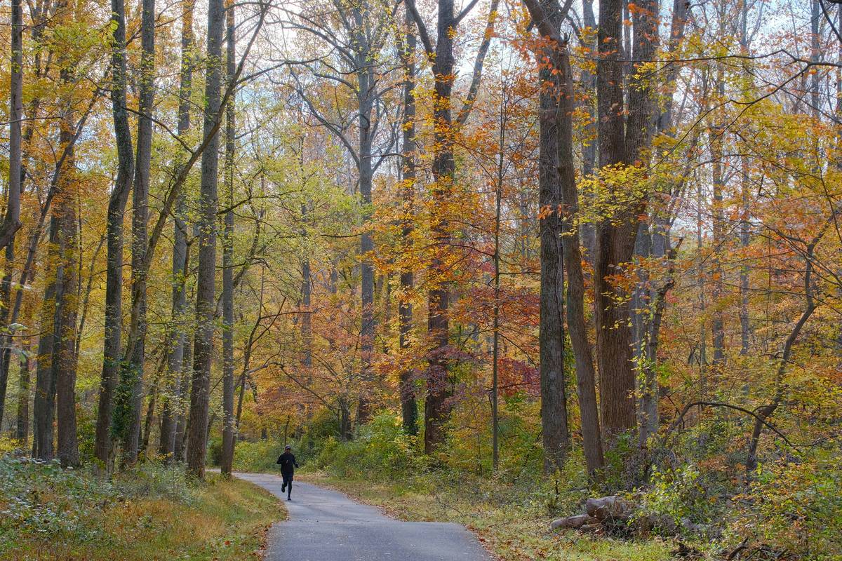 Benefits From Running Regularly: 7 Proven Ways to Avoid Painful Beginner Mistakes