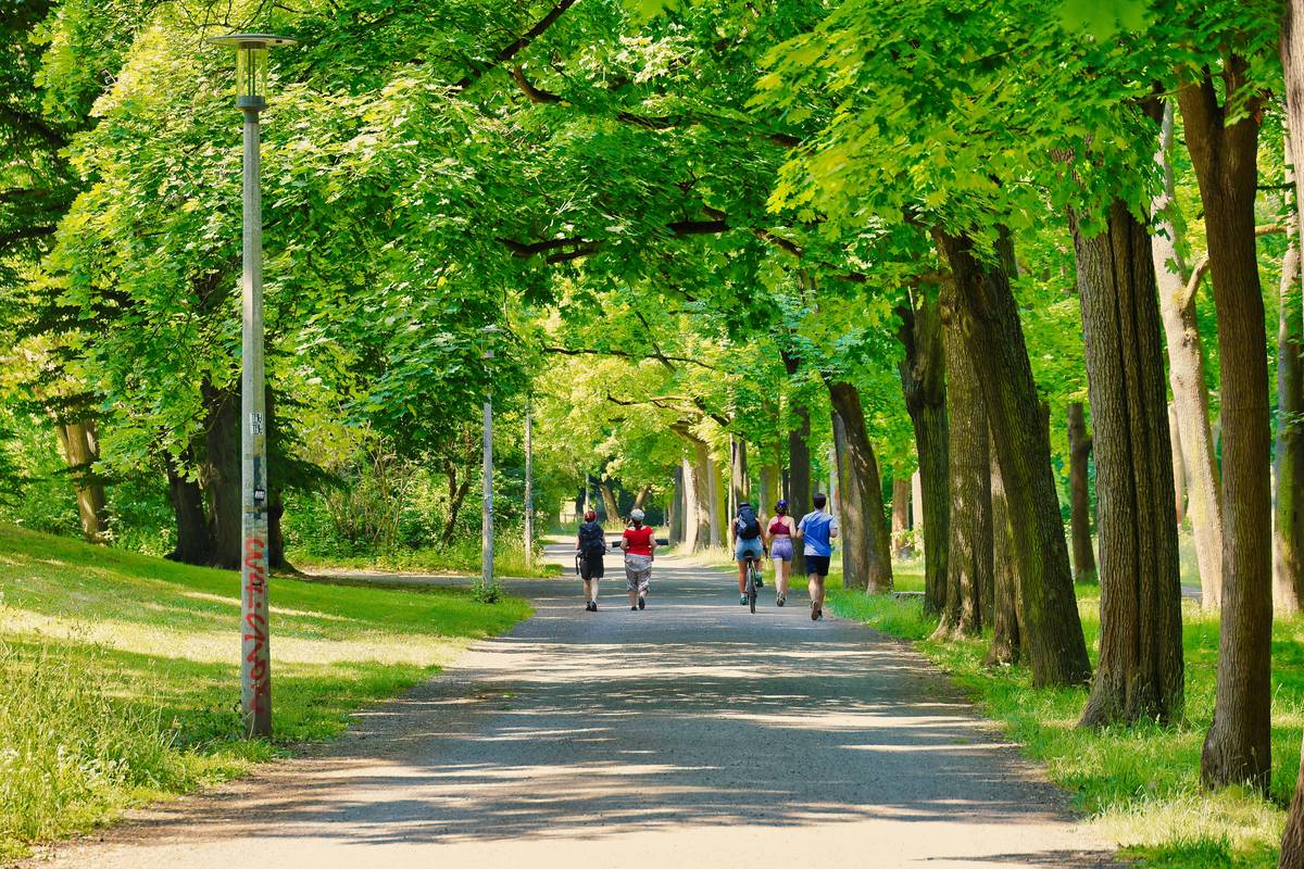 apple fitness beginner running: woman jogging outdoors with iPhone and AirPods following Apple Fitness+ workout